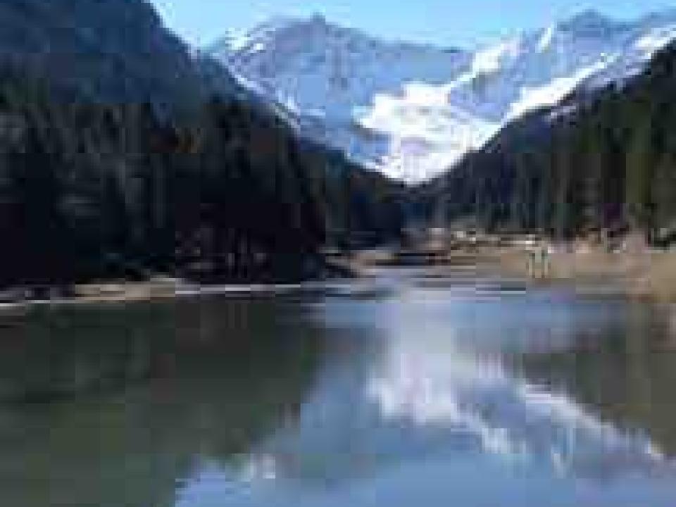 Stausee Steg