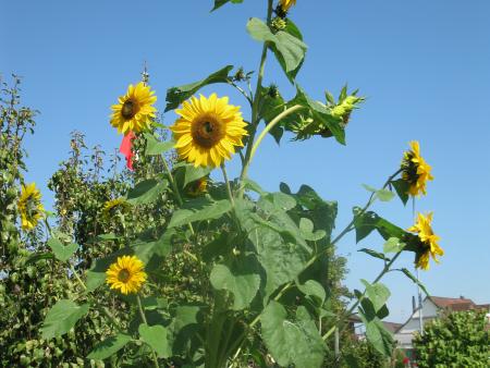 Sommerferienzeit