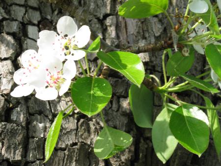 Fastenopferprojekt Pfarrei St.Mauritius und Suppentag
