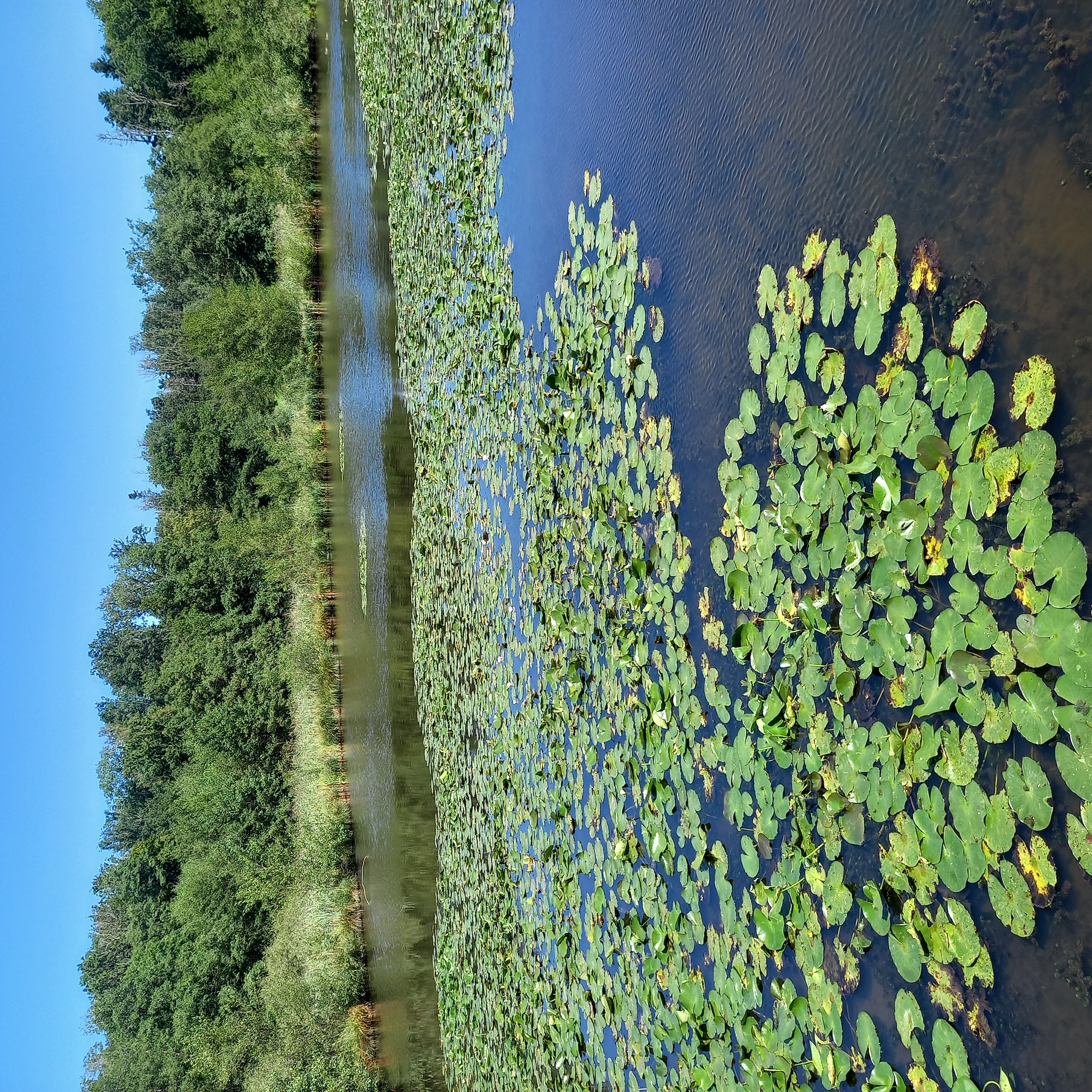 Weiherlandschaft